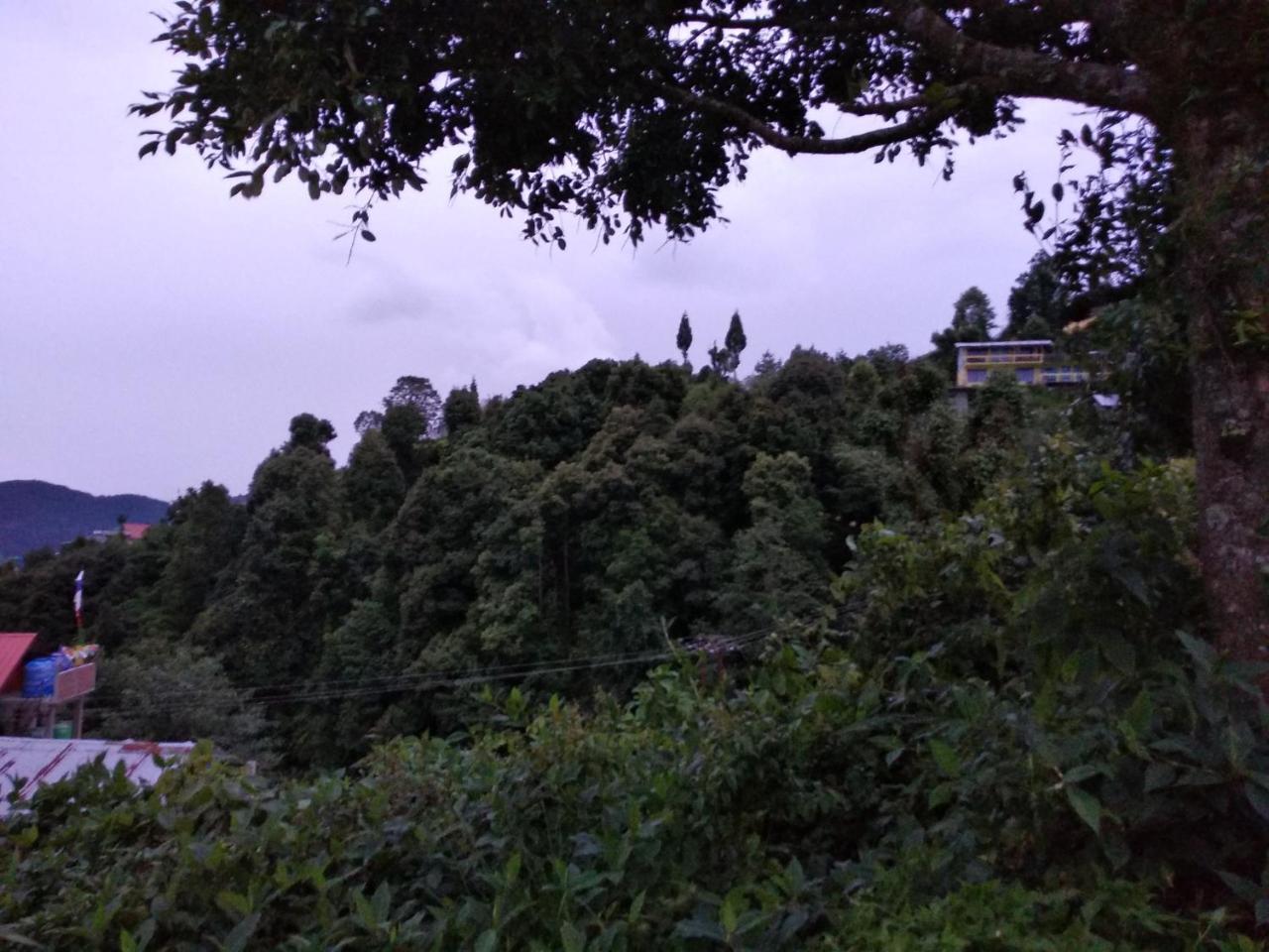 Tibet Homestay Rishop Luaran gambar